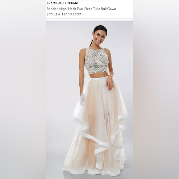 Terani Couture Dresses & Skirts - NWOT! Beaded 2-Piece Tulle ball gown wedding dress!